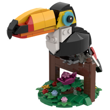 TOUCAN